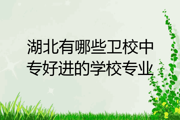 湖北有哪些卫校中专好进的学校专业