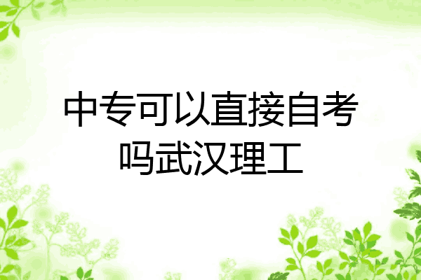 中专可以直接自考吗武汉理工