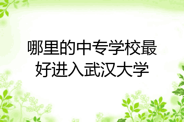 哪里的中专学校最好进入武汉大学