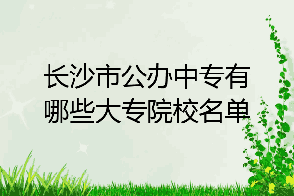 长沙市公办中专有哪些大专院校名单