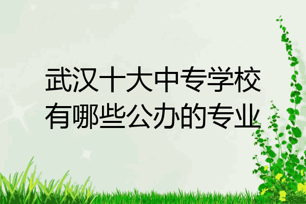 武汉十大中专学校有哪些公办的专业