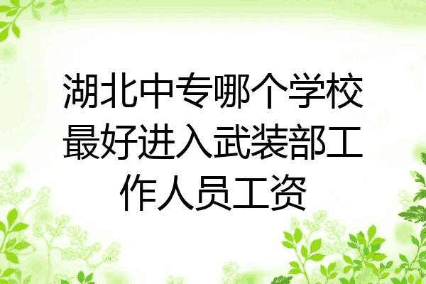 湖北中专哪个学校最好进入武装部工作人员工资