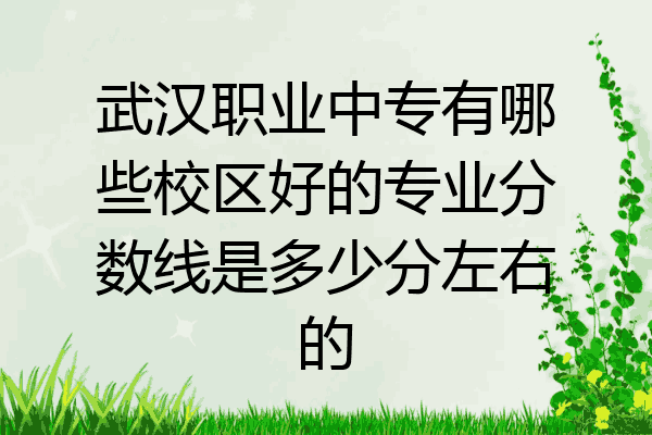 武汉职业中专有哪些校区好的专业分数线是多少分左右的