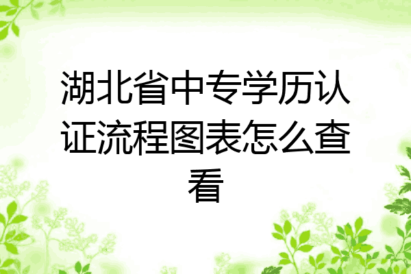 湖北省中专学历认证流程图表怎么查看