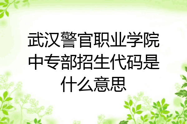 武汉警官职业学院中专部招生代码是什么意思