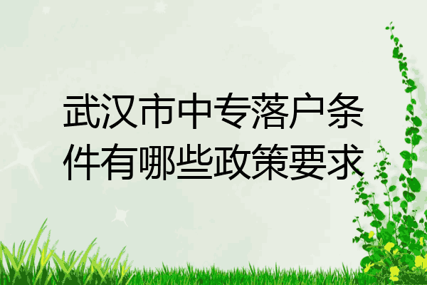 武汉市中专落户条件有哪些政策要求
