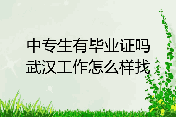 中专生有毕业证吗武汉工作怎么样找