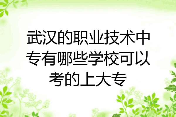 武汉的职业技术中专有哪些学校可以考的上大专
