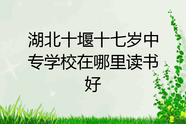 湖北十堰十七岁中专学校在哪里读书好