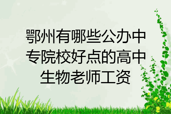 鄂州有哪些公办中专院校好点的高中生物老师工资
