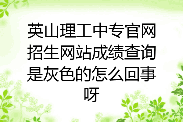 英山理工中专官网招生网站成绩查询是灰色的怎么回事呀