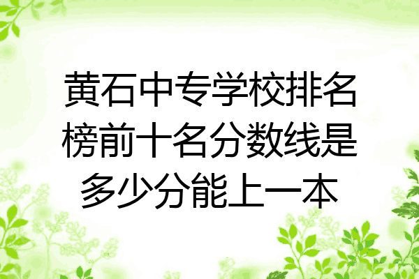 黄石中专学校排名榜前十名分数线是多少分能上一本