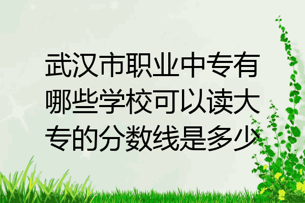 武汉市职业中专有哪些学校可以读大专的分数线是多少