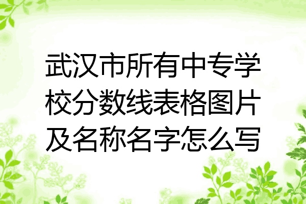 武汉市所有中专学校分数线表格图片及名称名字怎么写