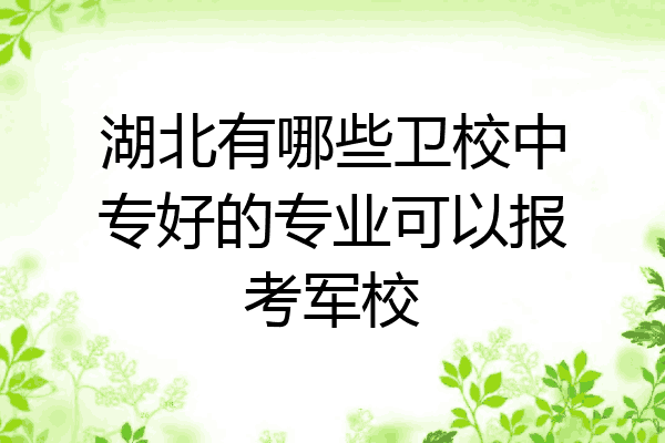 湖北有哪些卫校中专好的专业可以报考军校