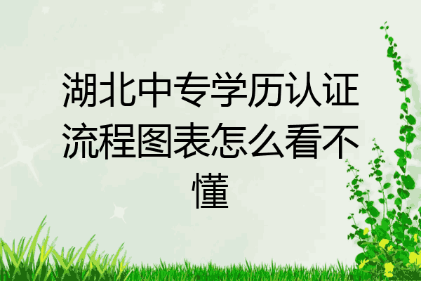 湖北中专学历认证流程图表怎么看不懂