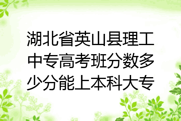 湖北省英山县理工中专高考班分数多少分能上本科大专