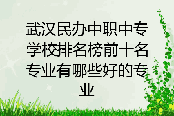 武汉民办中职中专学校排名榜前十名专业有哪些好的专业