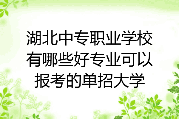 湖北中专职业学校有哪些好专业可以报考的单招大学