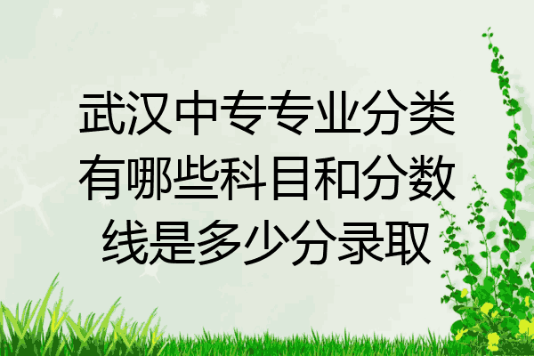武汉中专专业分类有哪些科目和分数线是多少分录取