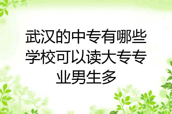 武汉的中专有哪些学校可以读大专专业男生多