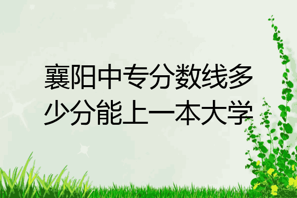 襄阳中专分数线多少分能上一本大学