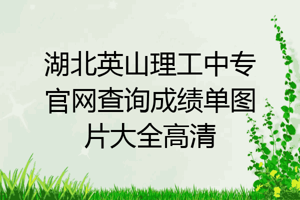 湖北英山理工中专官网查询成绩单图片大全高清