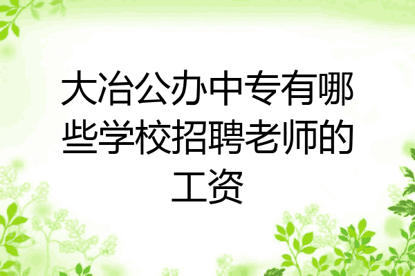 大冶公办中专有哪些学校招聘老师的工资
