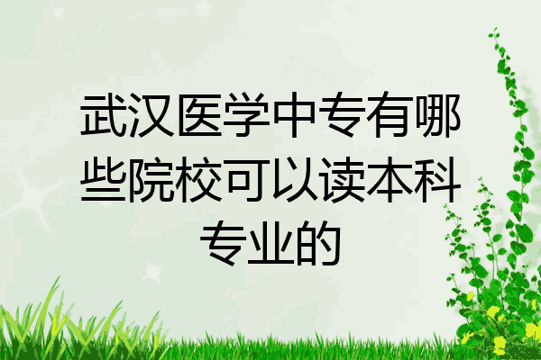 武汉医学中专有哪些院校可以读本科专业的