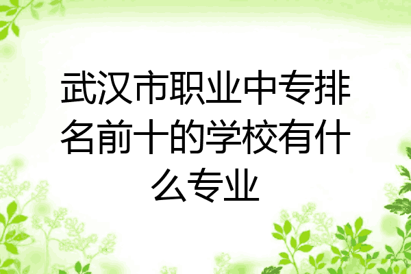 武汉市职业中专排名前十的学校有什么专业