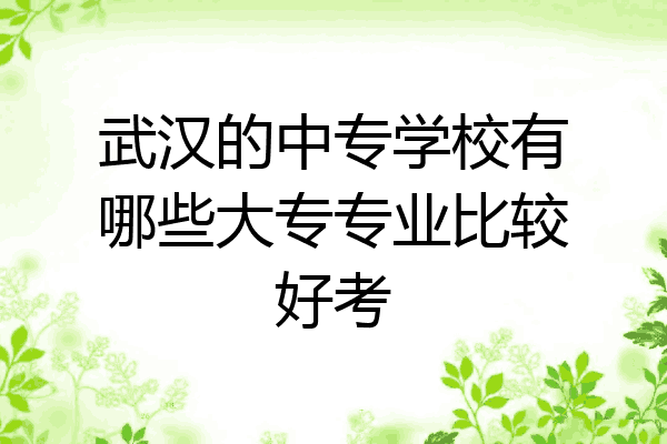 武汉的中专学校有哪些大专专业比较好考