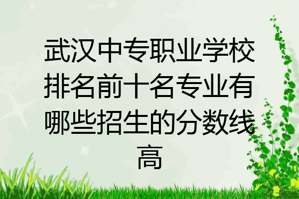 武汉中专职业学校排名前十名专业有哪些招生的分数线高