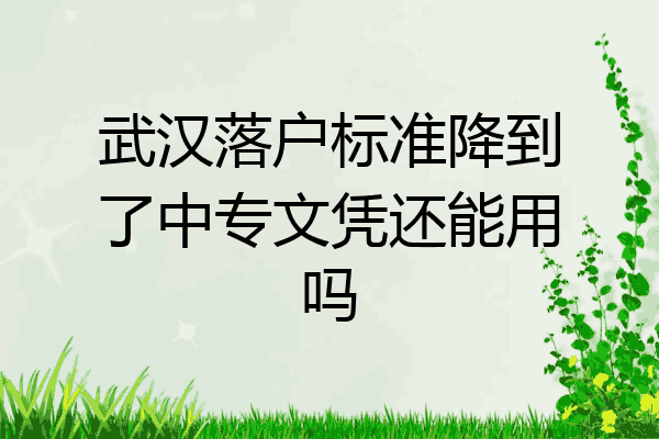 武汉落户标准降到了中专文凭还能用吗