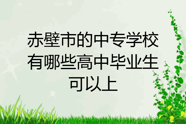 赤壁市的中专学校有哪些高中毕业生可以上