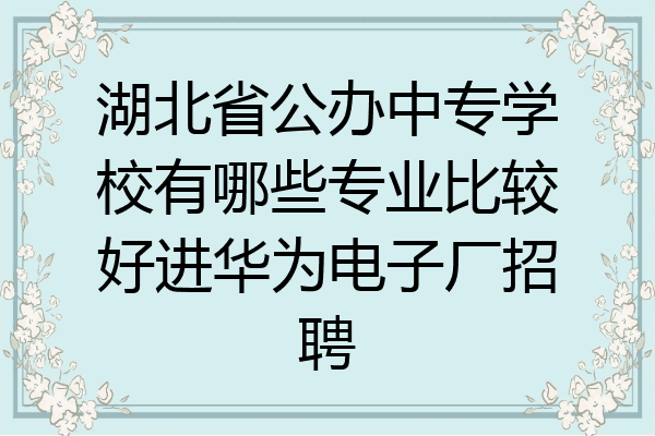 湖北省公办中专学校有哪些专业比较好进华为电子厂招聘