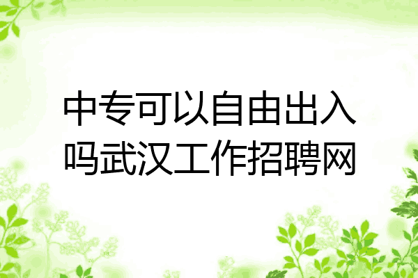 中专可以自由出入吗武汉工作招聘网