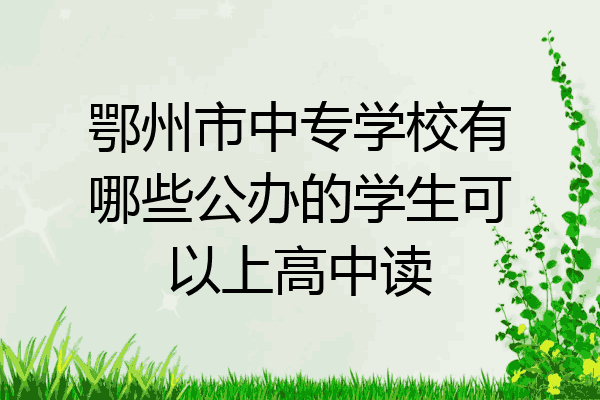 鄂州市中专学校有哪些公办的学生可以上高中读
