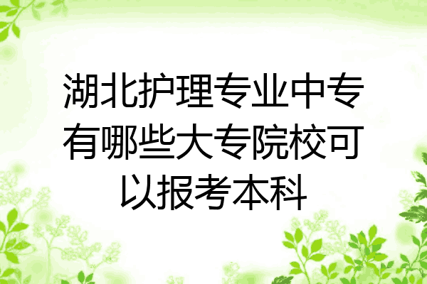 湖北护理专业中专有哪些大专院校可以报考本科