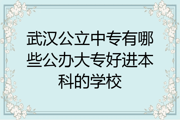 武汉公立中专有哪些公办大专好进本科的学校