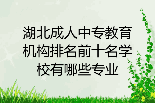 湖北成人中专教育机构排名前十名学校有哪些专业