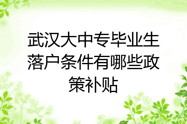 武汉大中专毕业生落户条件有哪些政策补贴
