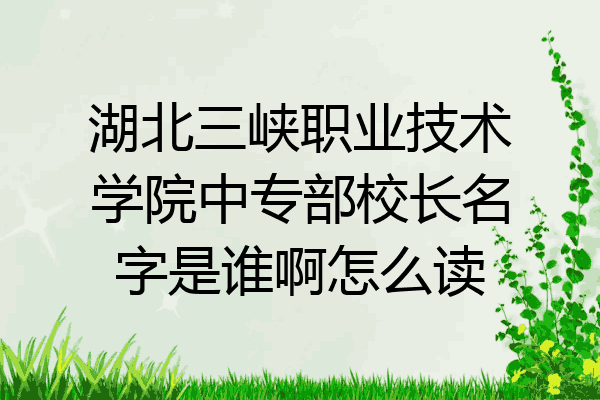 湖北三峡职业技术学院中专部校长名字是谁啊怎么读