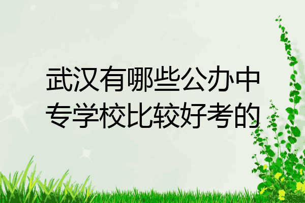 武汉有哪些公办中专学校比较好考的