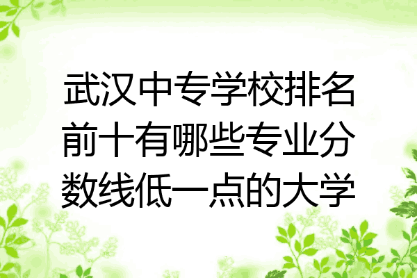 武汉中专学校排名前十有哪些专业分数线低一点的大学