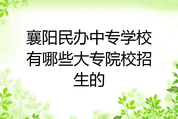 襄阳民办中专学校有哪些大专院校招生的