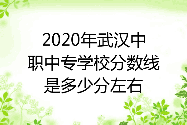2020年武汉中职中专学校分数线是多少分左右