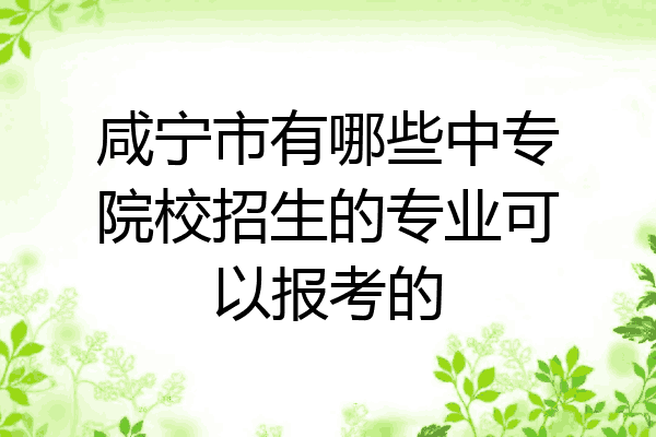 咸宁市有哪些中专院校招生的专业可以报考的