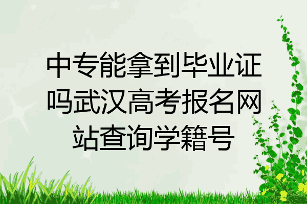 中专能拿到毕业证吗武汉高考报名网站查询学籍号