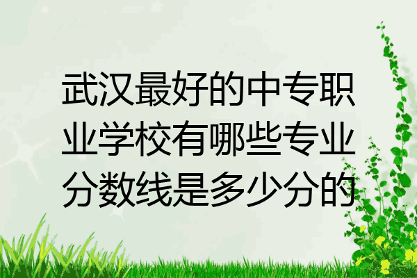 武汉最好的中专职业学校有哪些专业分数线是多少分的