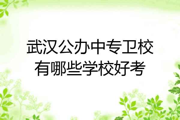 武汉公办中专卫校有哪些学校好考